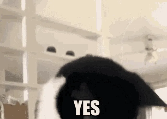 DeRZw.gif