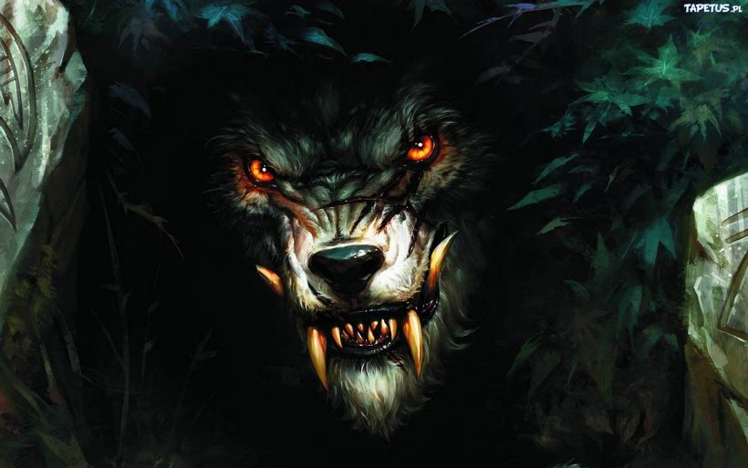 wilkolak-820x513.jpg