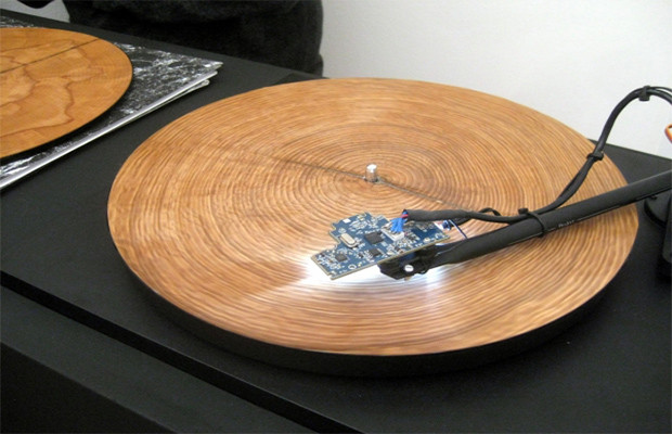 tree-rings.jpg