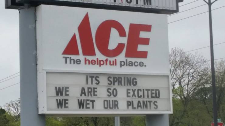 Funny_Pics_7-1.jpg