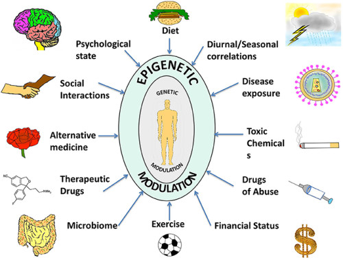 epigenetics-e1435181913572.jpg