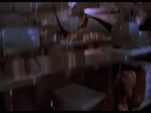jurassic-park-jurassic-park-velociraptor.gif