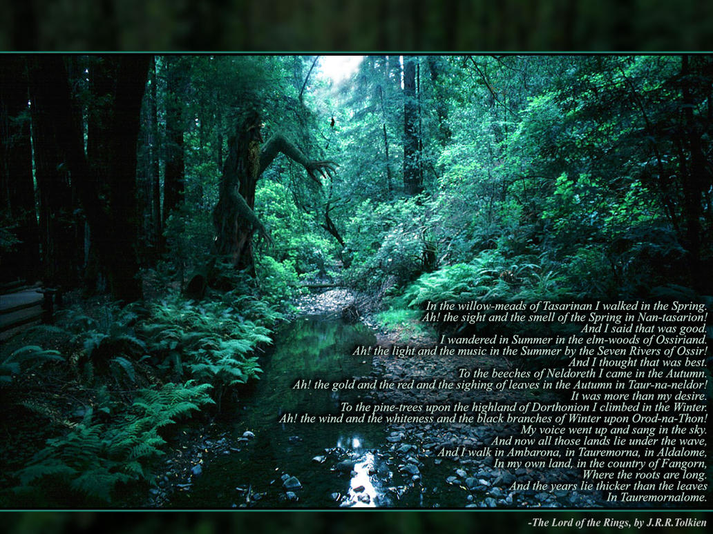 treebeard.jpg