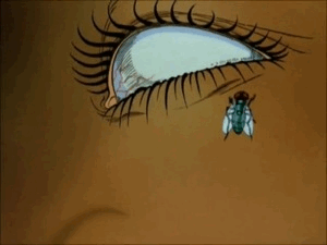 source.gif