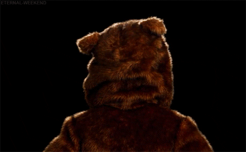 giphy.gif