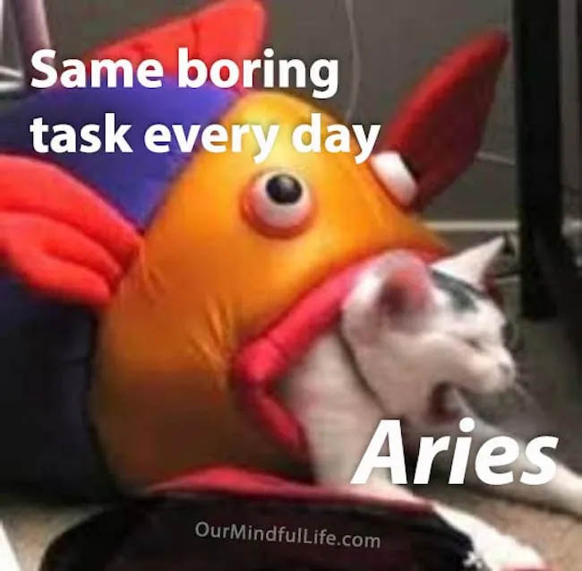 A9apZAn.jpg