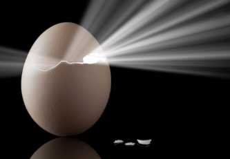 bright-egg.png