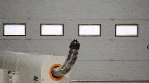 giphy.gif