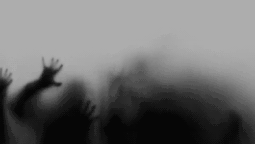 05d559_565f29100b3b49baa2b2b708ab534f19~mv2.gif