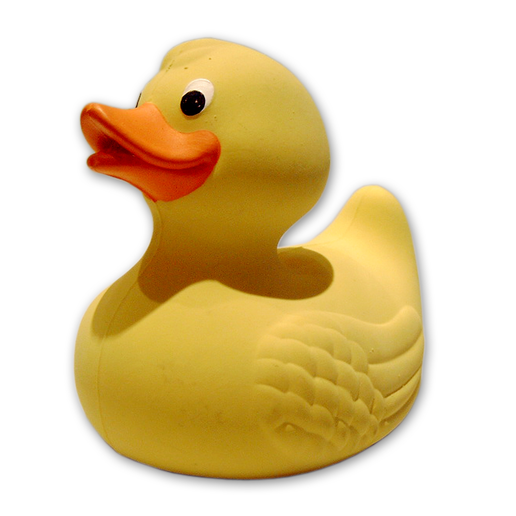 duck.jpg