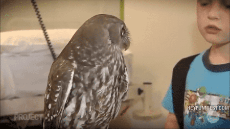 tumblr_ntu7c6yS1R1qb61kpo2_500.gif