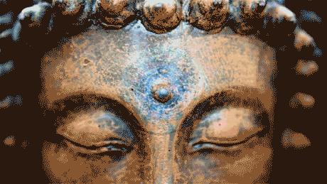 tumblr_nr16btOiDp1ur3x71o1_500.gif
