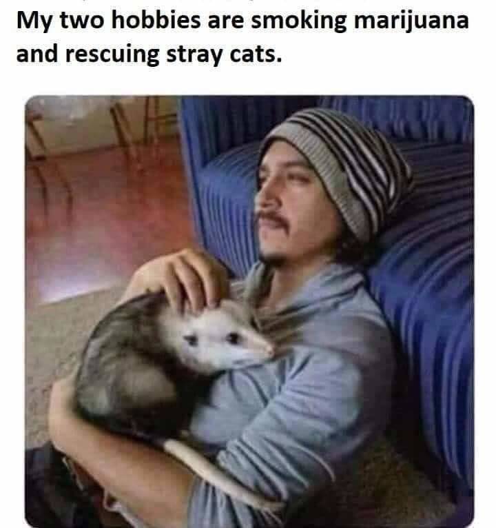 Funny_Pics_5-1.jpg