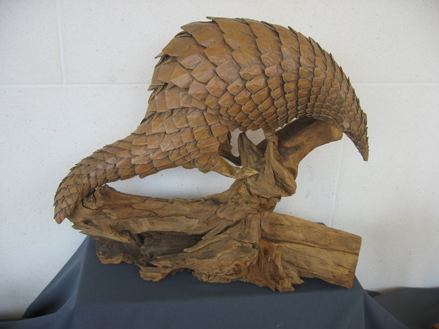 BOS40th-Joisel-Pangolin.jpg