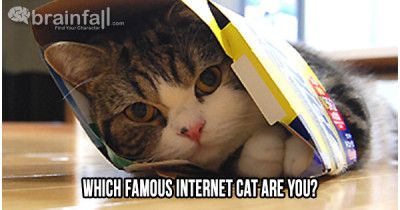 internetcat_maru_st-400x210.jpg