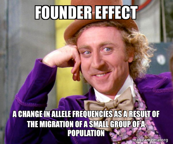 founder-effect-a-c20b71f53e.jpg
