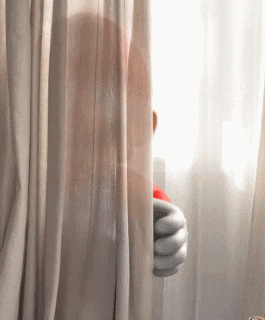 giphy.gif