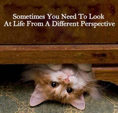 life_perspective.jpg