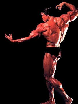 Arnold_Schwarzenegger_402.jpg