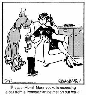 MarmadukeOnThePhone.jpg