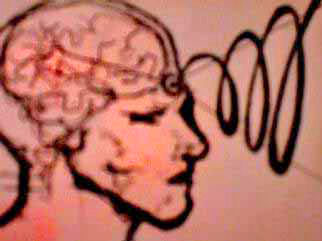 brain07.jpg