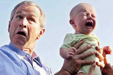 bush001.jpg