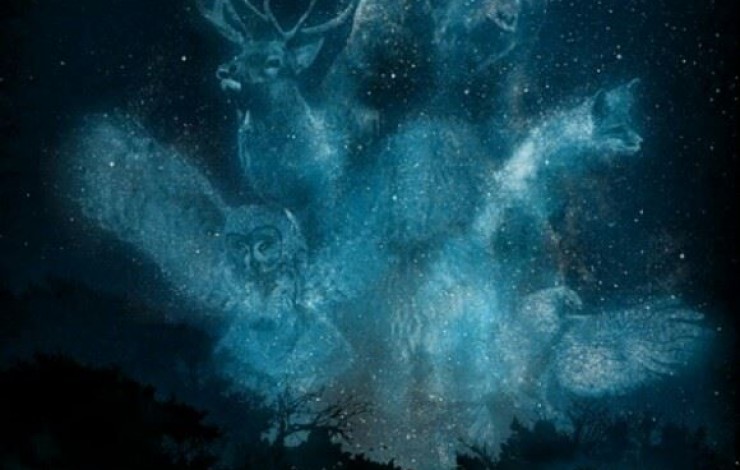 animal-spirits-740x470.jpg