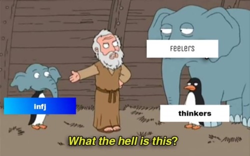 tumblr_pmfceaLrW21wjfolao1_500.jpg
