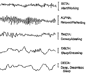 brain01.gif