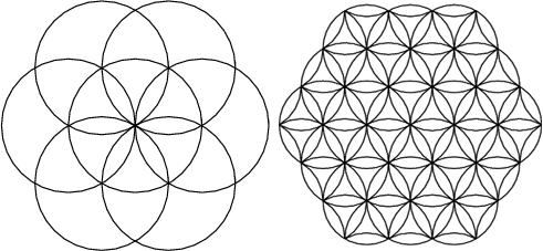 SeedAndFlowerOfLife.gif