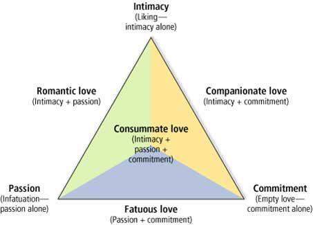 what_is_love__by_pigmice-d314ctu.jpg