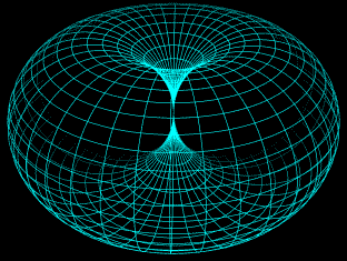 animated_horntorus_inv5.gif