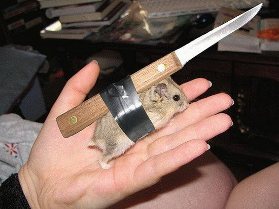 killer_hamster.jpg