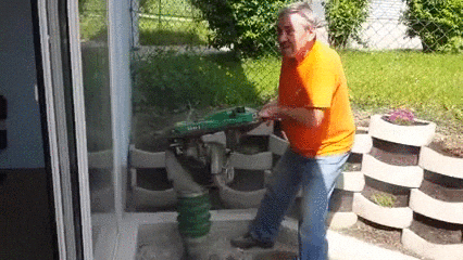 giphy.gif