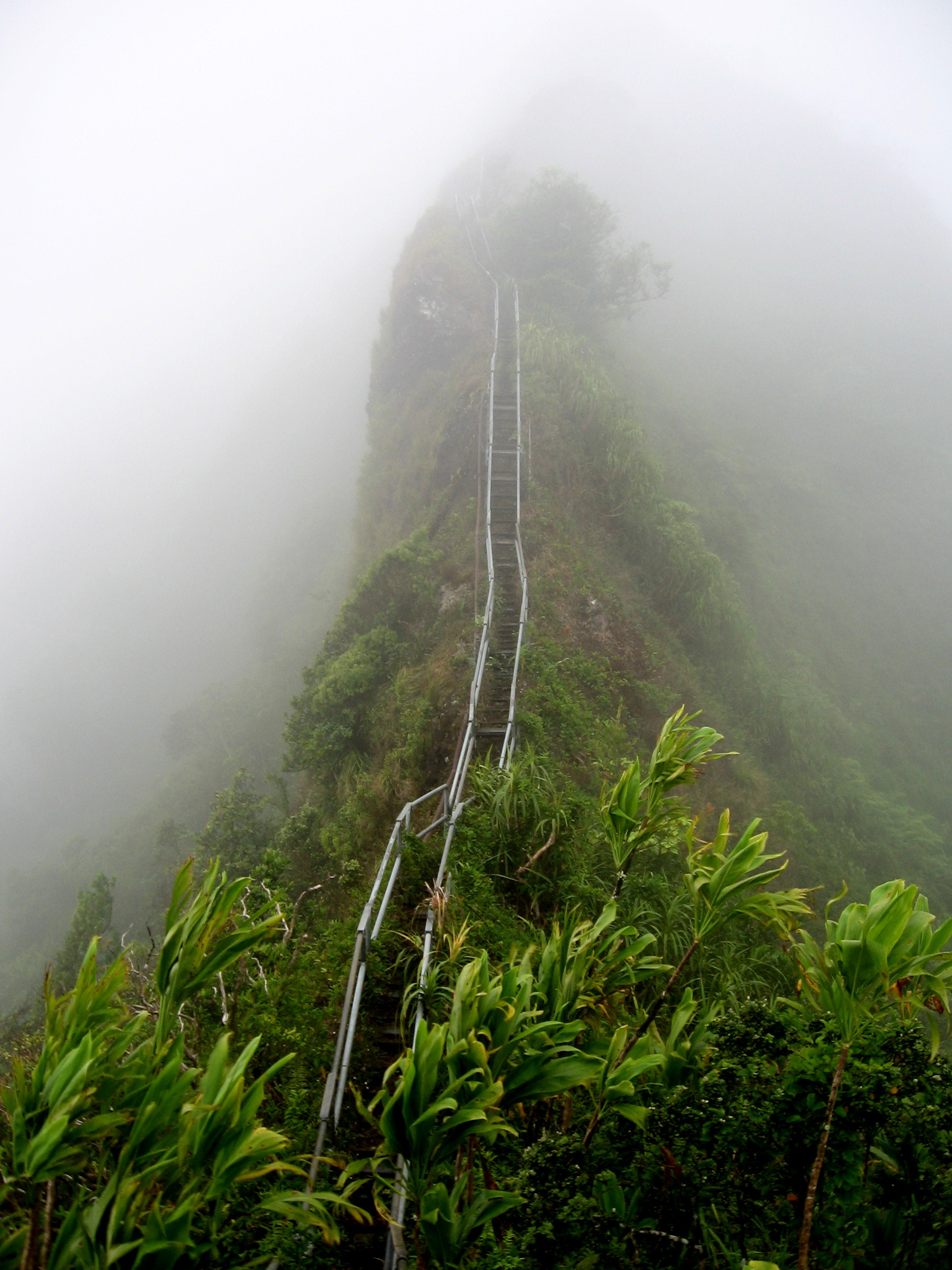 HaikuLadder.jpg