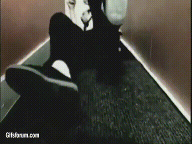 adGpKpo.gif