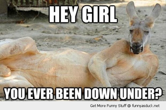 funny-sexy-kangaroo-hey-girl-down-under-pics.jpg