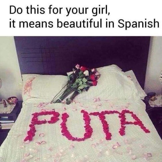 tumblr_njqpodhJR21to8kodo1_540.jpg