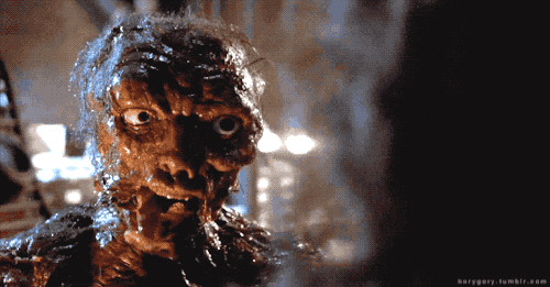 tumblr_oxn7i46pme1w4o2dko1_500.gif