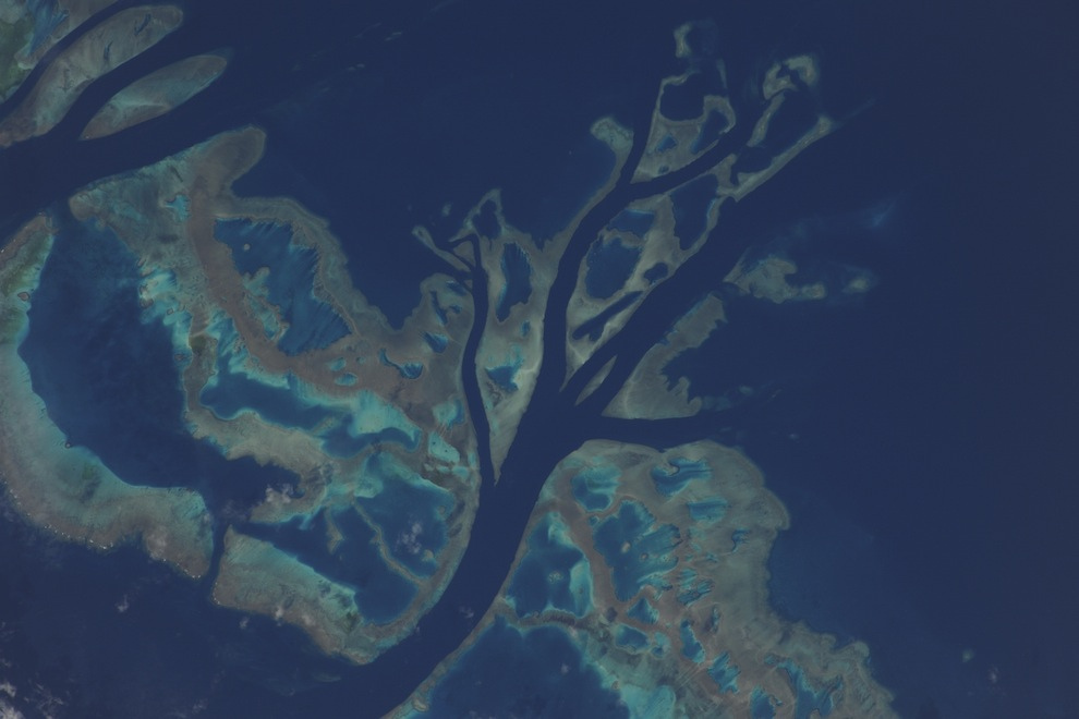 Part_of_the_Great_Barrier_Reef.jpg