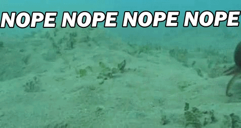 ff168c2c6314b1a9c4648ad7d1e8aa0f.gif