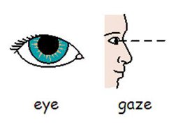 eye_gaze_resize.jpg