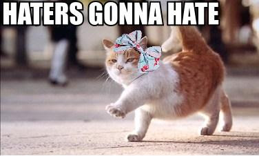 haters+gonna+hate.jpg