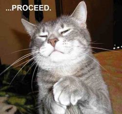 Funny+Cat+Proceed.jpg