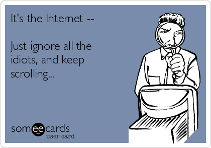 its-the-internet-just-ignore-all-the-idiots-and-keep-scrolling-6bd25.png