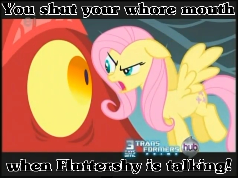 don__t_mess_with_fluttershy_by_vengeancemanifesto-d34ess3.jpg