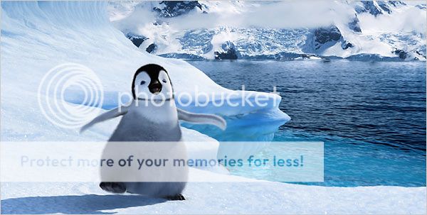 600_penguin.jpg