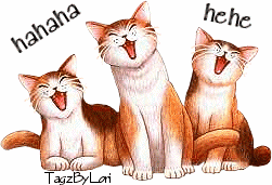 Cat-s-laugh-keep-smiling-8248717-251-171.gif