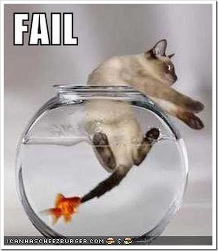funny_cat_fail2%5B2%5D.jpg