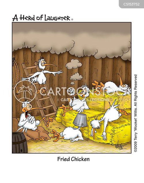 animals-chickens-fast_food-junk_food-chicken-laughter-tlin130_low.jpg